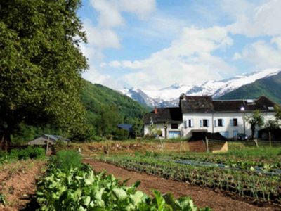 vue sur la colline verte à partir des potagers